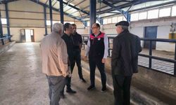 Bayburt'ta yüzde 50 hibe desteğiyle kurulan hayvancılık işletmesi incelendi