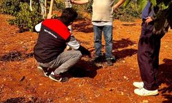 Bekilli'de üreticilere toprak analizi eğitimi verildi