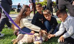 Beykoz Yaşam Festivali renkli görüntülere sahne oldu