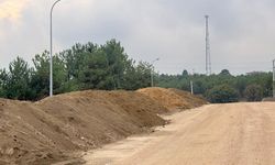 Bilecik'te yol kenarına dökülen kumlar tehlike saçıyor