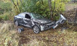 Bingöl'de trafik kazası: 2 yaralı