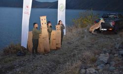 Bitlis'te yaban hayvanları doğal yaşam alanlarına kavuştu
