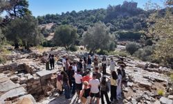 Bodrum'da öğrenciler Pedasa Antik Kenti'nde tarih ve doğayla buluştu