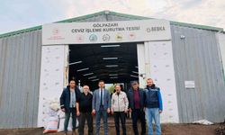 Bu tesiste yılda 400 ton ceviz kurutuluyor