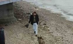 Bursa'da aç kalan domuz Mudanya sahiline indi