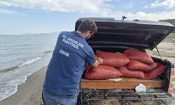 Bursa'da kaçak avcılığa geçit yok: 2 ton 760 kilo kum şırlanı doğaya bırakıldı