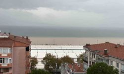 Bursa'da sel suları denizi çamura buladı