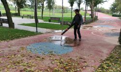 Büyükşehir'den park ve bahçelere düzenli bakım