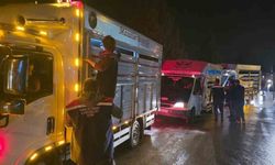 Çine Hayvan Pazarı denetimlerle yeniden açıldı