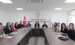 Cizre'de okul güvenliği ve öğrenci sağlığı için eylem planı hazırlandı