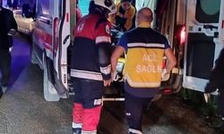 Defne'de Asi Nehri'ne düşen araçtaki 2 kişi yaralandı