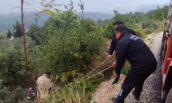 Defne'de kayalıklardan düşen vatandaş yaralandı