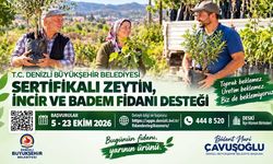Denizli'de üreticiye fidan desteği