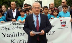 Diyarbakır'da 1 Ekim Dünya Yaşlılar Günü için anlamlı yürüyüş