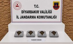 Diyarbakır'da 57 bin 700 kök kenevir ele geçirildi