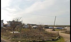 Diyarbakır'da arazi kavgası: 6 yaralı