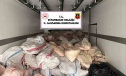 Diyarbakır'da insan sağlığına elverişsiz 8 ton hayvansal iç yağ ve sakatat ele geçirildi