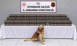Diyarbakır'da kaçakçılık operasyonlarında 29 şüpheli hakkında işlem yapıldı