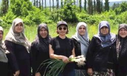 Domaniç Çamlıca Sarımsağının coğrafi işaret yolculuğu sürüyor