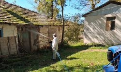 Düzce'de kahverengi kokarcaya karşı kışlak mücadelesi başladı
