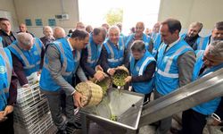 Edremit'te Akademik Zeytin Hasat Şenliği düzenlendi