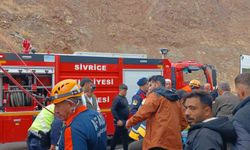 Elazığ'da canlı hayvan taşıyan tır devrildi: 1 yaralı