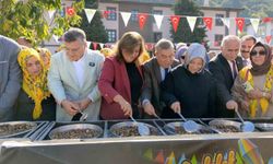 Erfelek'te 5. Kestane Festivali düzenlendi