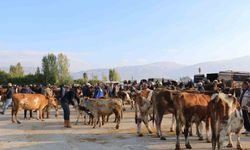Erzincan'da hayvan yetiştiricilerine şap hastalığına karşı aşılama uyarısı