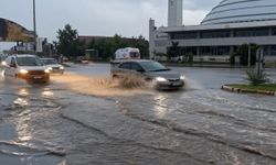 Erzincan'da sağanak yağış etkili oldu