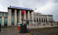Erzurum'da sokak hayvanları talimatıyla ilgili idari inceleme başlatıldı