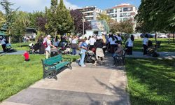 Eskişehir'de bebekli 75 anneyi parktan çıkardılar