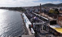 Festolive Edremit'te 13 bin kişiyle zeytinyağı tadım rekoru hedefi