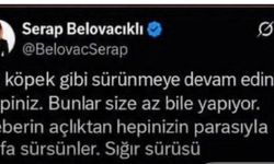 Gazeteci Serap Belovacıklı hakkında soruşturma başlatıldı