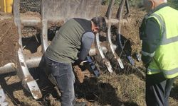 Gönen'e 250 hektarlık endüstriyel plantasyon sahası kuruluyor