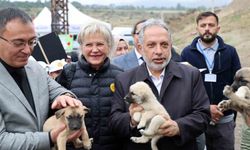 Hayvanları Koruma Günü, Talas Pati Evi Doğal Yaşam Alanı'nda kutlandı