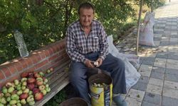 Hisarcık'ta elma kurusu fiyatı düştü, üretici yükseliş bekliyor