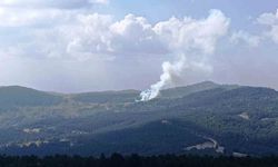 Hisarcık'ta ormana sıçrayan yangında 6 dekar alan zarar gördü