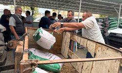 Iğdır'da sertifikalı buğday tohumu dağıtımı gerçekleştirildi
