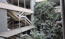 İş hanının ortasındaki ağaçlar dikkat çekiyor
