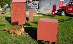 K9 köpekler hünerlerini sergiledi: Saklanan çocukları saniyeler içinde buldular