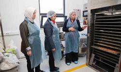 Kadın girişimciden tirmis bazlı fonksiyonel gıda üretimi