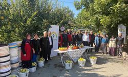 Kahramanmaraş'ta ayva üreticilerine hasat desteği