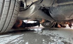 Karabük'te ticari taksinin altına giren yavru kedi kurtarıldı