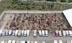 Kastamonu'da canlı hayvan pazarları kapatıldı
