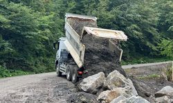 Kaynaşlı'da heyelan sonrası yol güvenliği için çalışma
