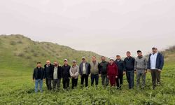 KBÜ akademisyenleri uluslararası Antep fıstığı araştırmasında yer alacak