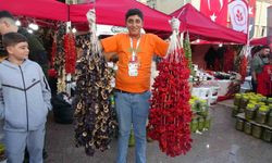 Kilis'te Biber Festivali coşkusu sürüyor