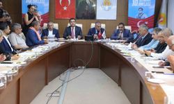 Kozan'da İsmet Atlı Er Meydanı'nda 800 güreşçi mücadele edecek