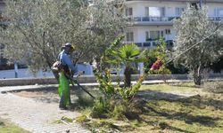 Kuşadası'nda park ve yeşil alanlar bakımdan geçiriliyor