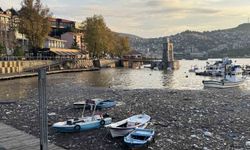 Limanda şaşırtan görüntü